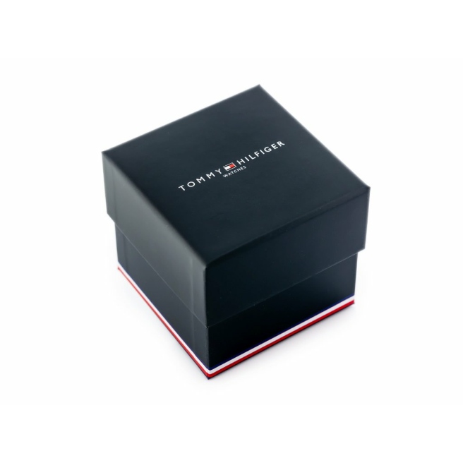 Zegarek Męski Złoty Tommy Hilfiger BAKER 1710447