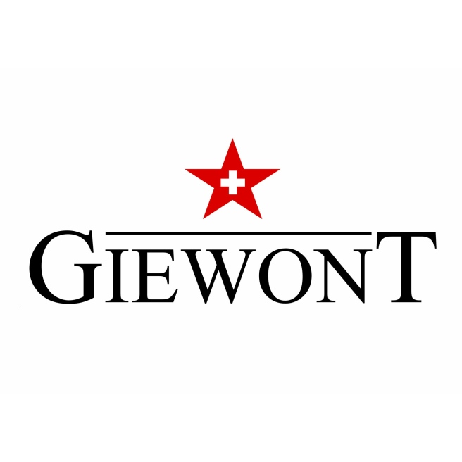 Smartband Giewont GW200-3 + dodatkowy burgundowy pasek