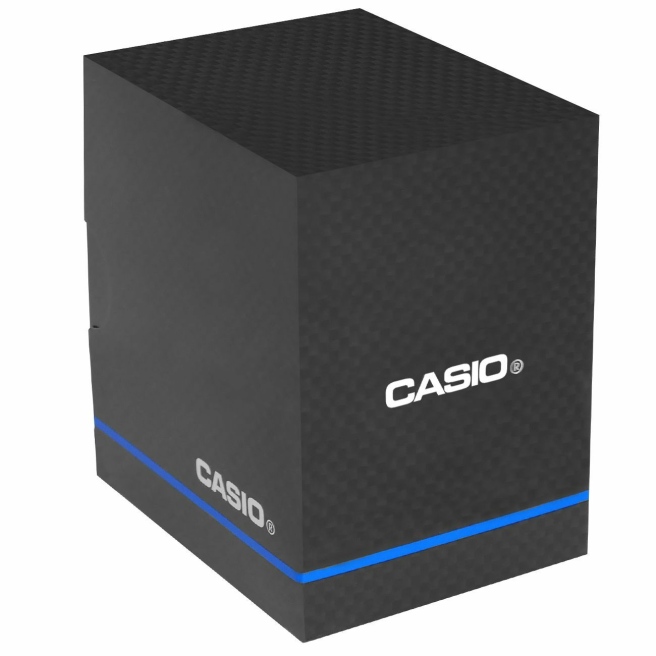 Zegarek CASIO ⌚ BOX + • WS-1300H-8AVEF